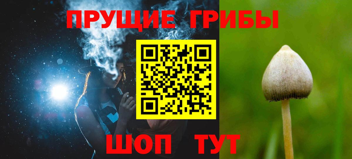 Ростов-на-Дону  Псилоцибиновые грибы Psilocybe  Вход с VPN 